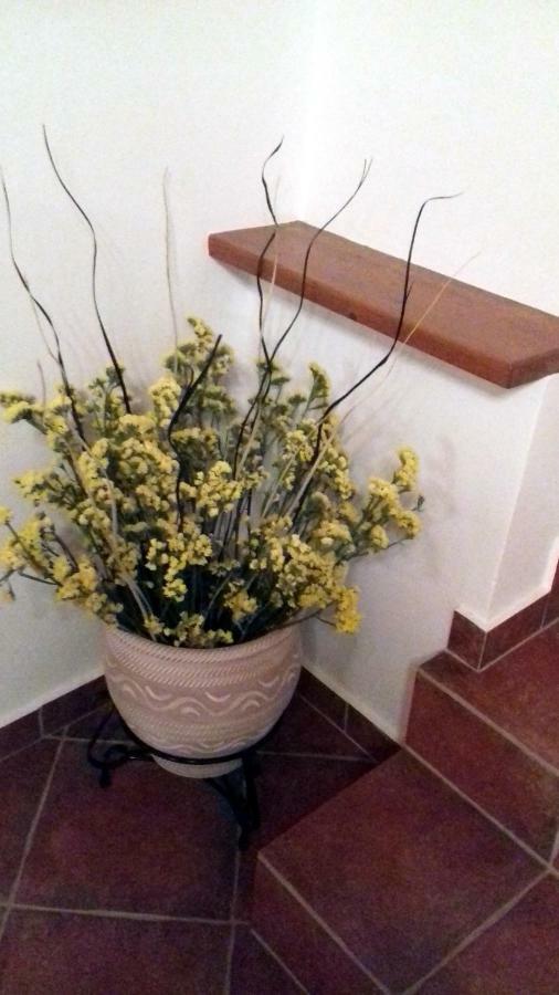 גיתיו Olea Escape Villa In An Olive Estate מראה חיצוני תמונה