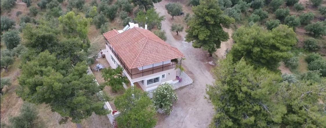 גיתיו Olea Escape Villa In An Olive Estate מראה חיצוני תמונה